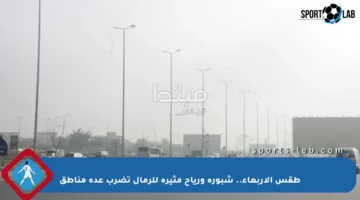 طقس الأربعاء.. شبورة ورياح مثيرة للرمال تضرب عدة مناطق